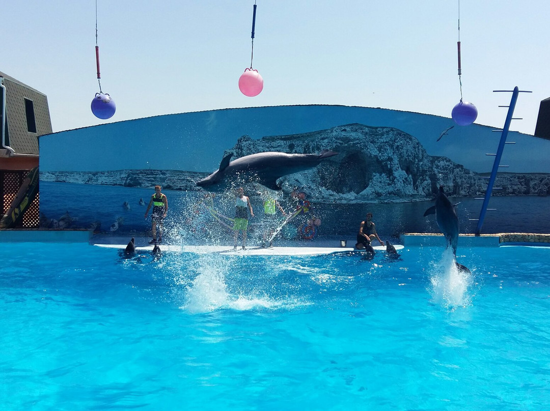 Dolphinarium-Olenevka必去景点