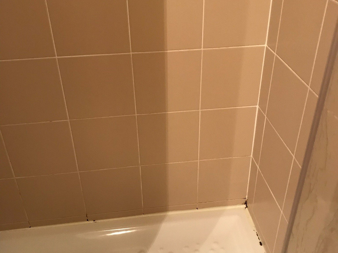 Cit'Hôtel Les Alizés主图