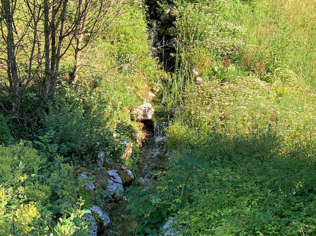 Naturhotel Schuetterbad主图