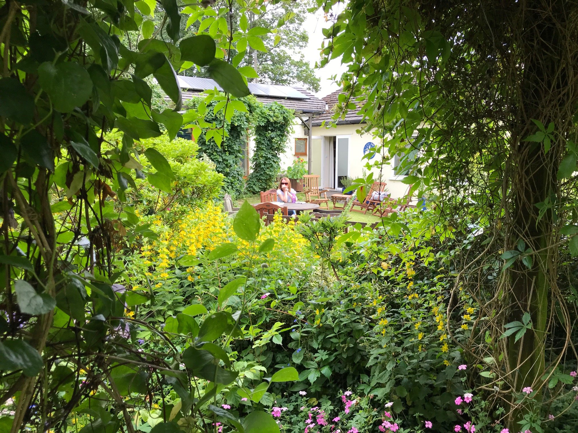Trustwood Bed And Breakfast-浴室