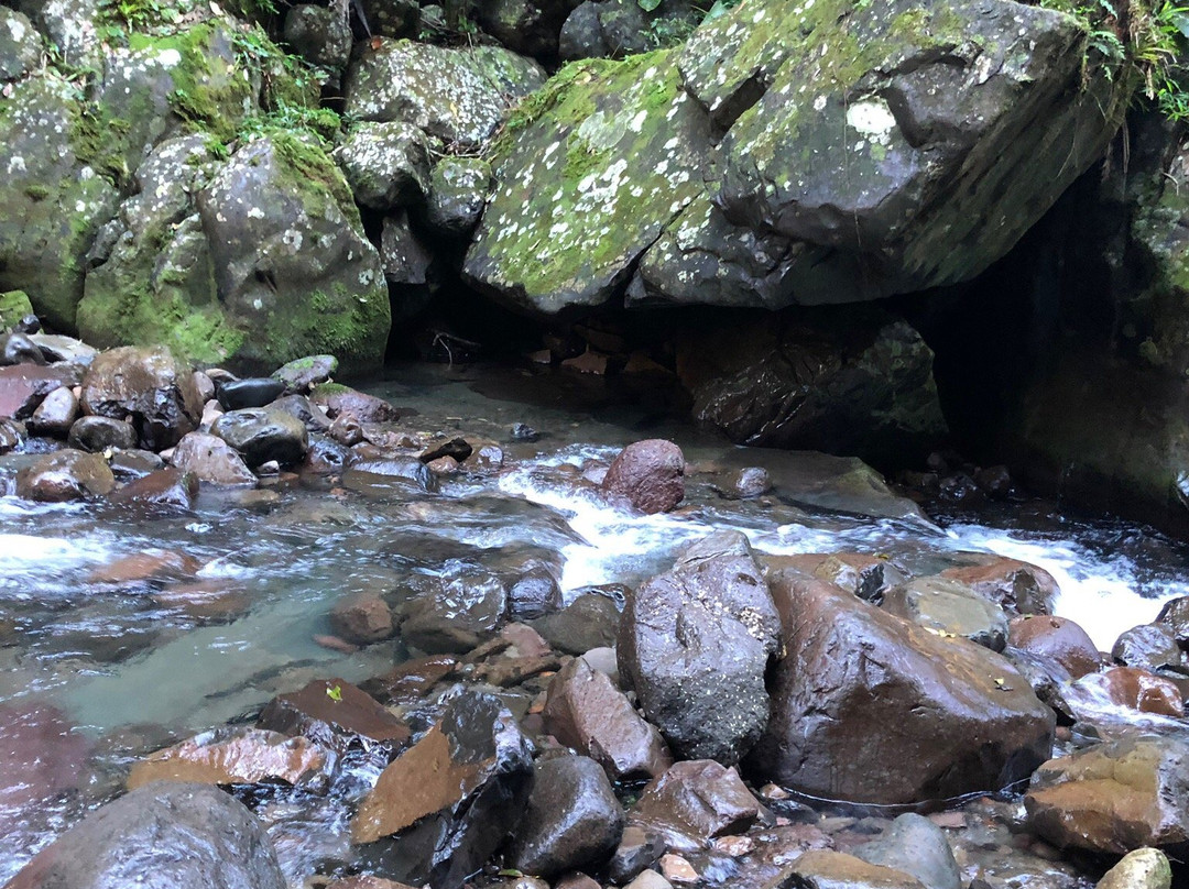 Cirenaica Canyon-Treviso必去景点
