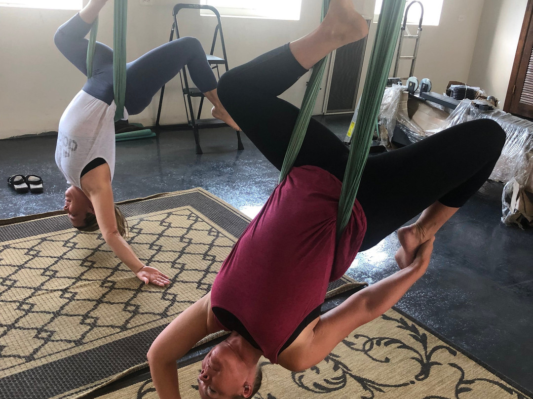 Point Wellness AntiGravity & Natural Health-圣约翰必去景点