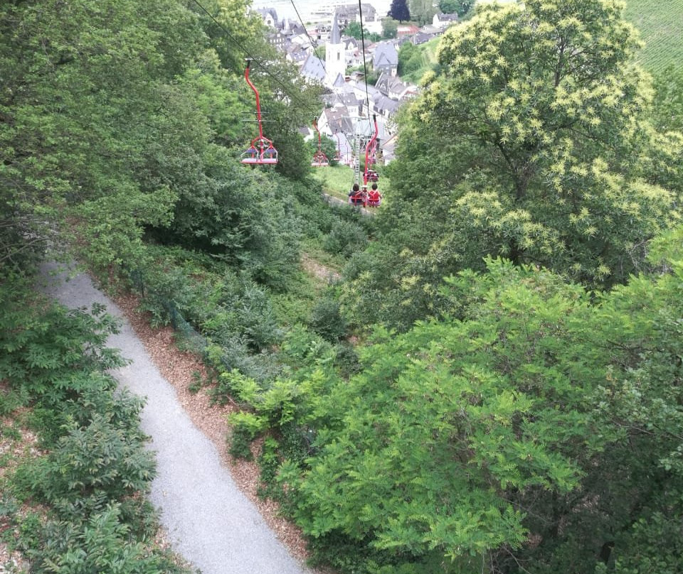 Niederwald Chairlift Assmannshausen on the Rhine景点图片