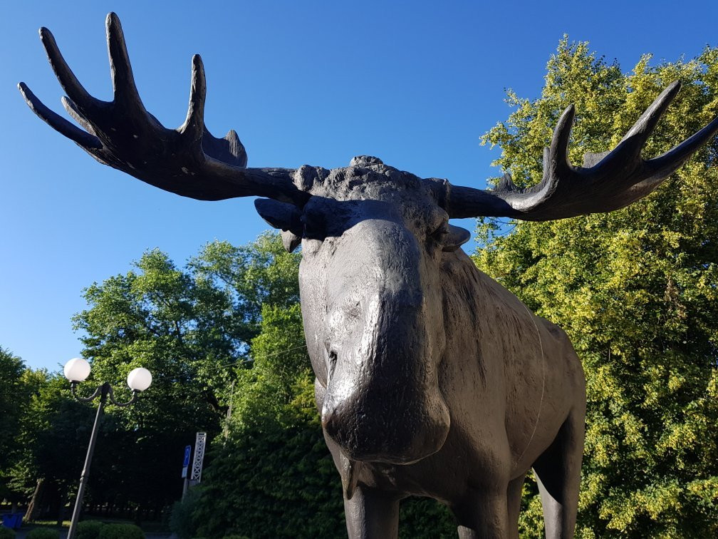 Moose Sculpture-Sovetsk必去景点