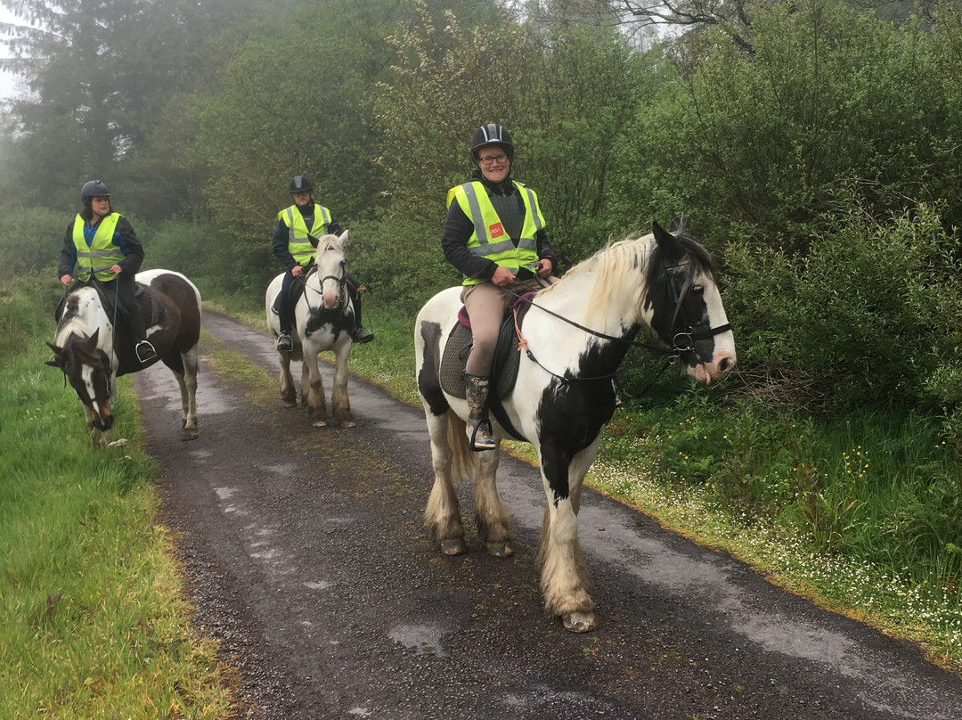 Bantry Pony Trekking景点图片