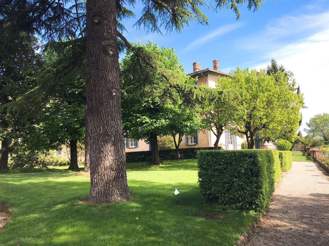 Castello Silvestri景点图片