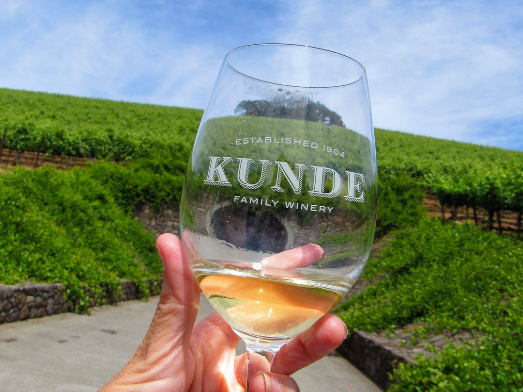 Kunde Family Winery景点图片