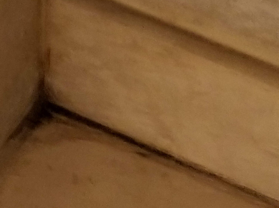 Ramada by Wyndham Topeka Downtown Hotel & Convention Center主图