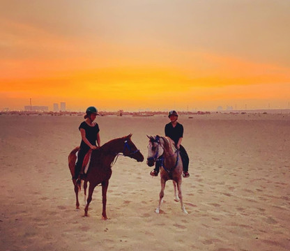 Dubai Desert Horse Ride Experience-迪拜必去景点