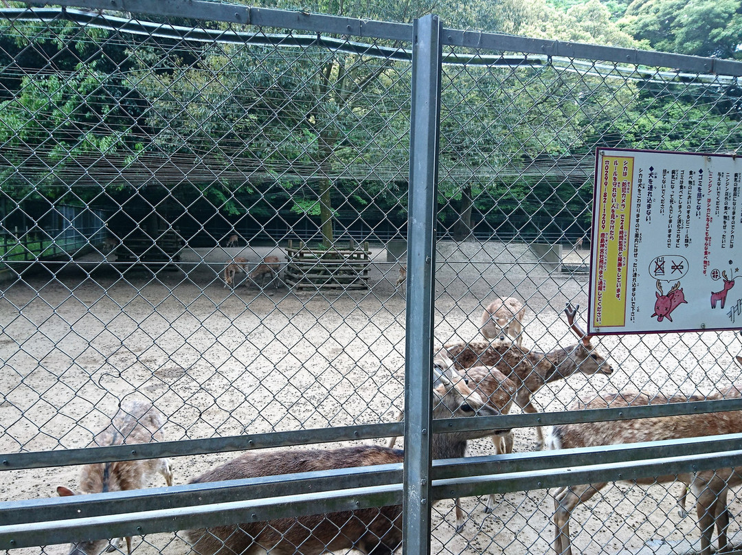 Kashima Jingu Kaen-鹿岛市必去景点