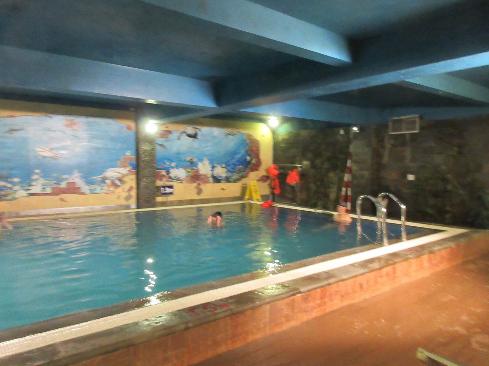 大叻曼青酒店-泳池