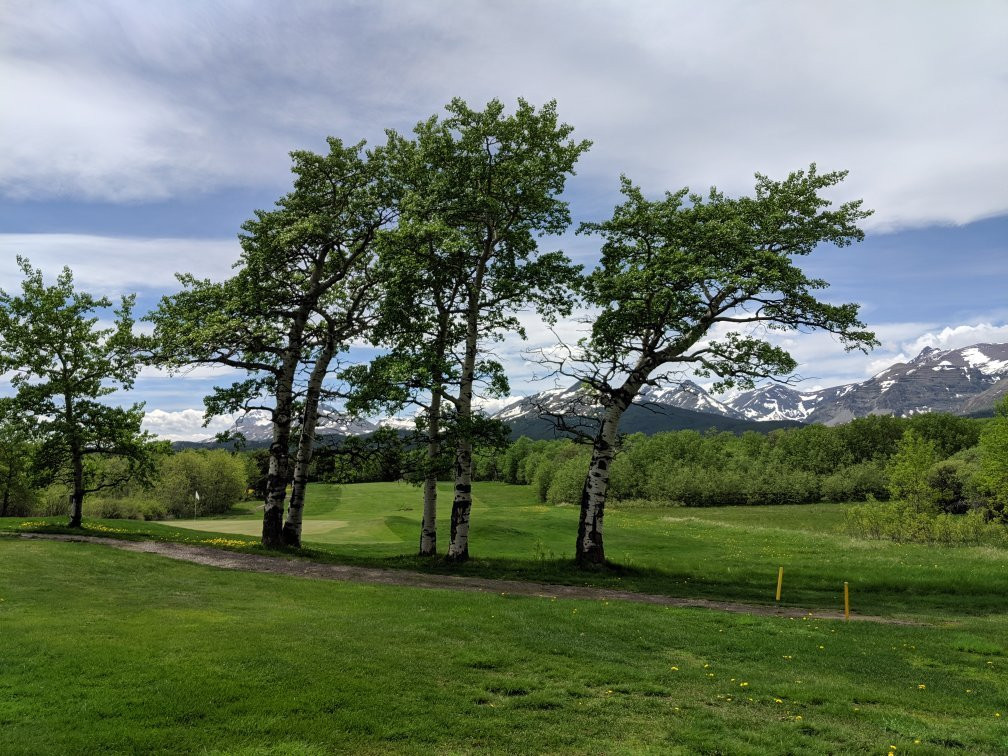 Glacier Park Lodge Golf Course景点图片
