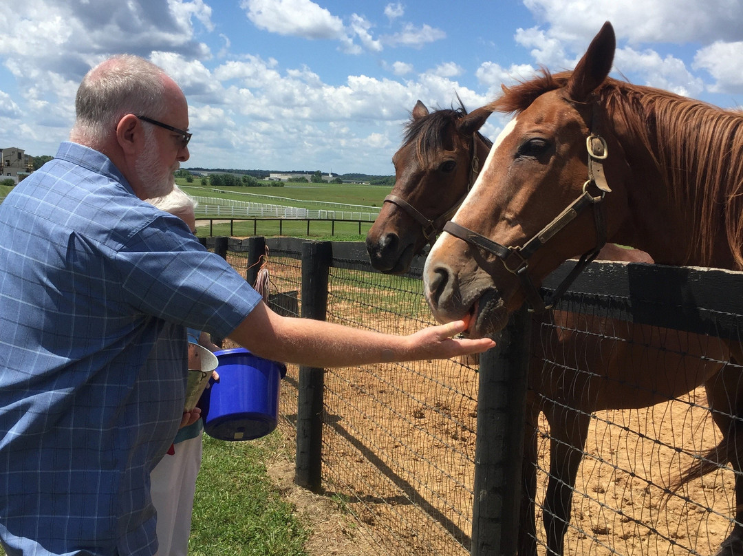 Old Friends at Kentucky Downs-Franklin必去景点