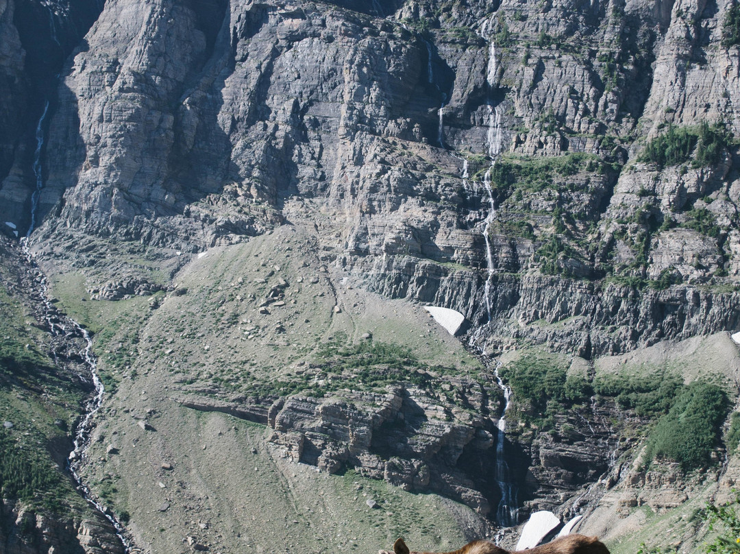 Swiftcurrent Pass Hike景点图片