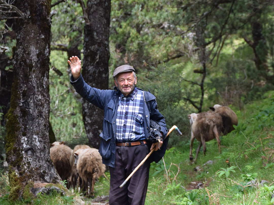 Active Albania-地拉那必去景点