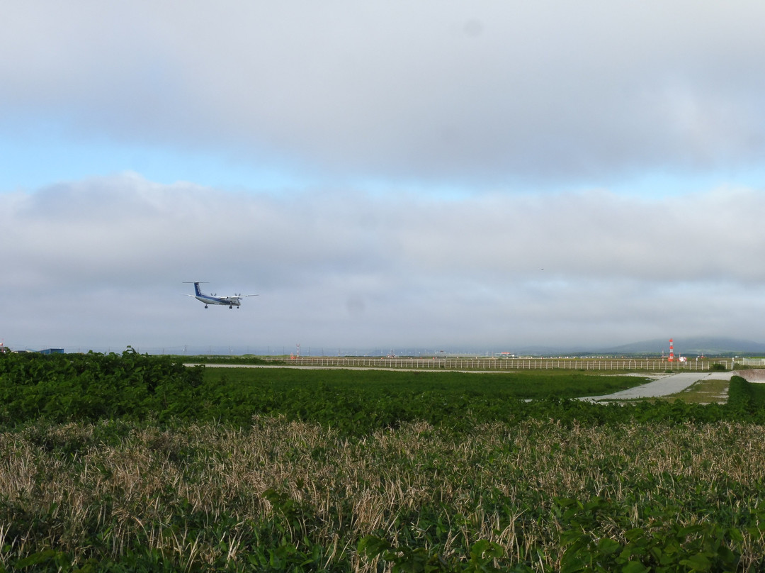 Soya Fureai Park-稚内市必去景点
