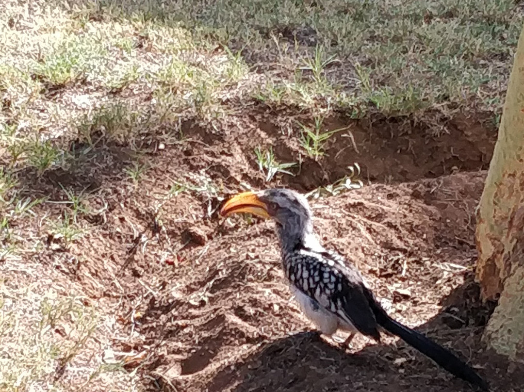 null-Mabula Private Game Reserve