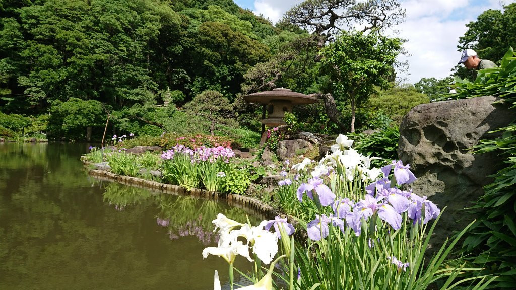Higo-Hosokawa Garden景点图片
