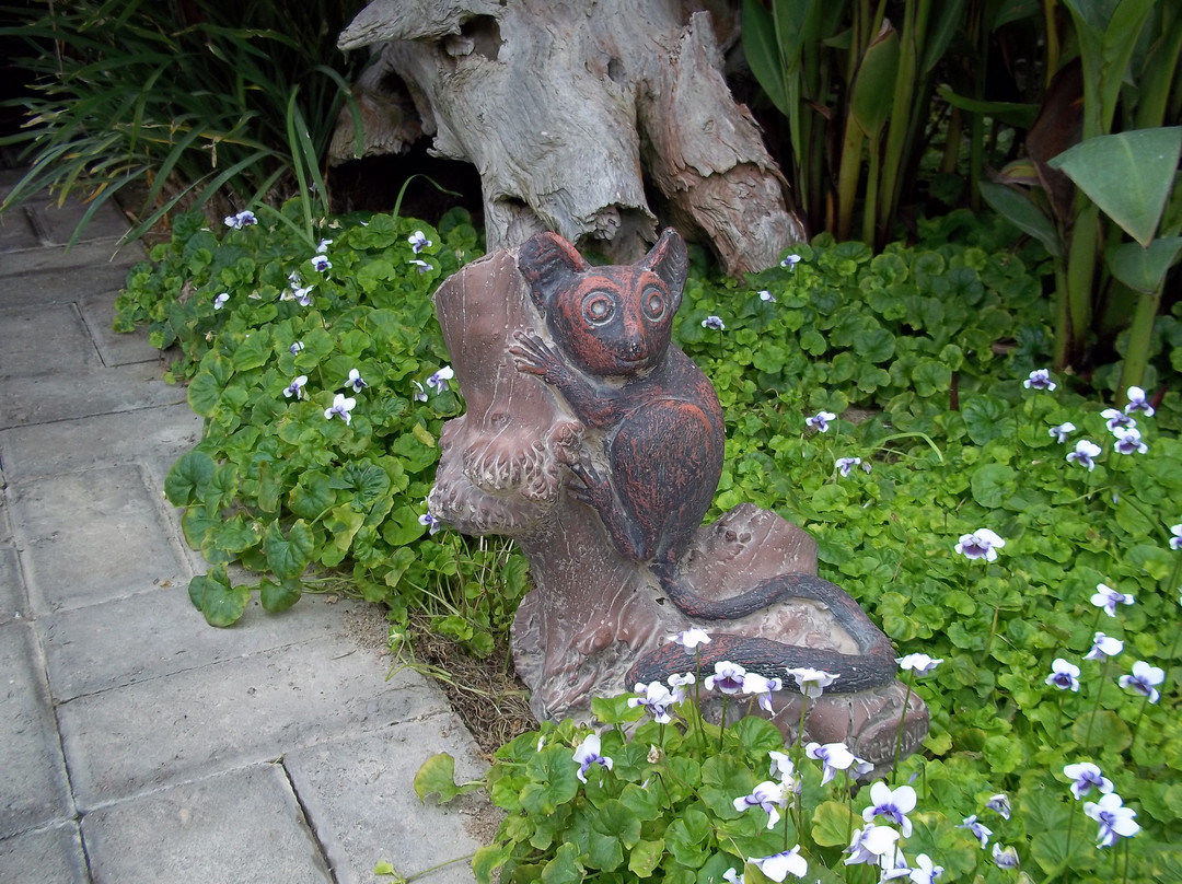 Bushbabies Inn主图