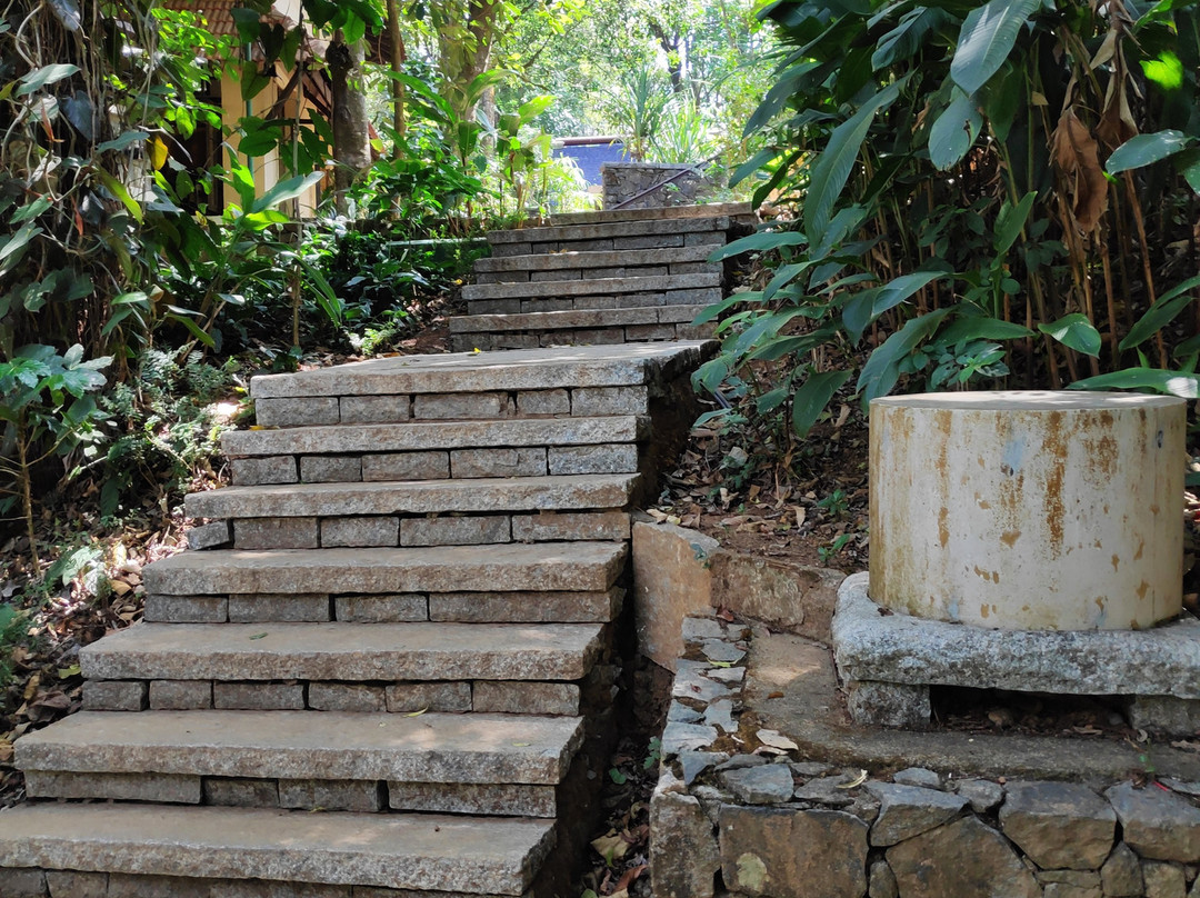 Club Mahindra Madikeri, Coorg主图