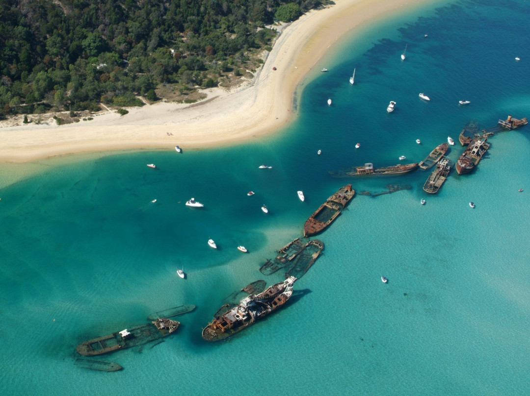 Bushwacker Ecotours-布里斯班必去景点