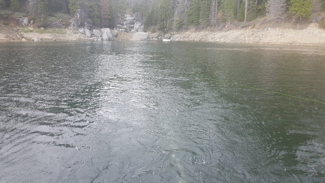 Sierra Marina-Shaver Lake必去景点