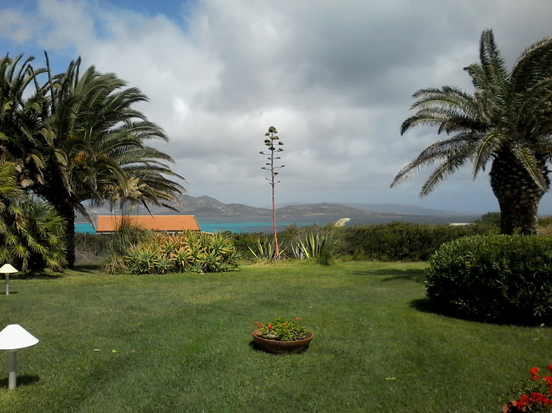 Cala Rosa Club Hotel主图
