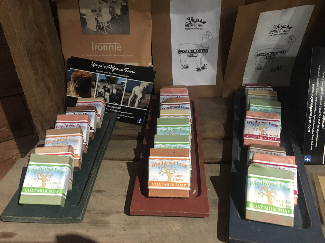 YaYa's Alpaca Farm-Garden City必去景点