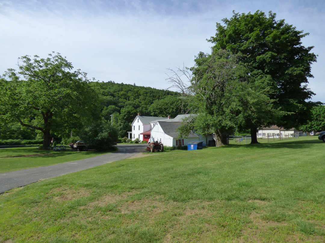 Red Rose Motel主图