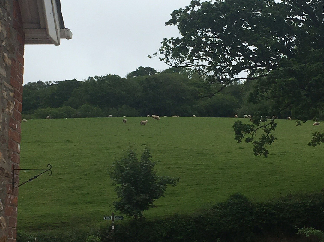 Mincombe Barn Bed & Breakfast主图