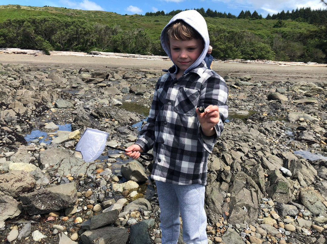 Lone Ranch Beach-布鲁金斯必去景点