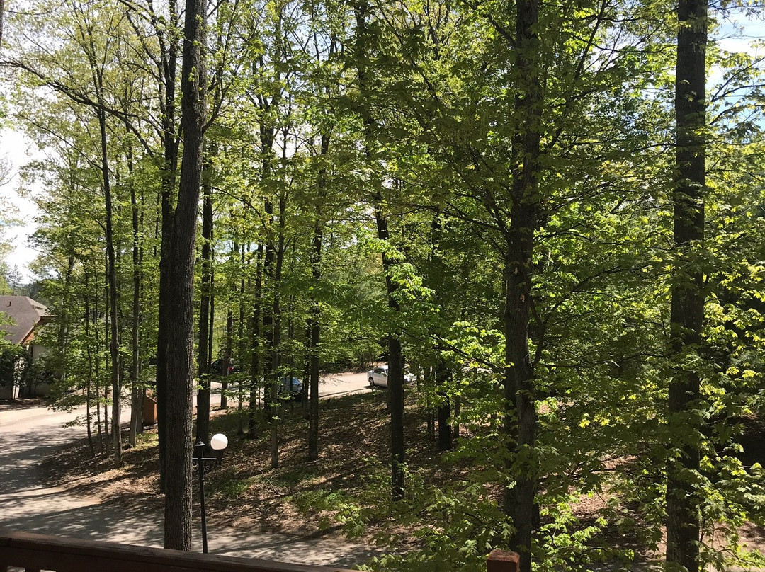 Mountain Grand Lodge and Spa主图