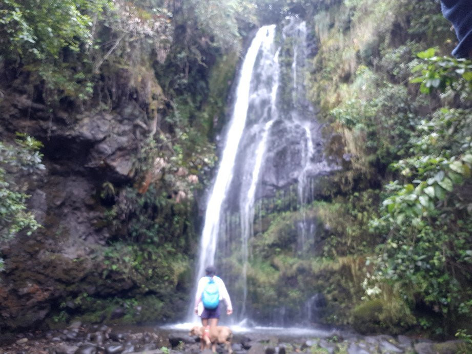 Waterfall of Cariacu-Cayambe必去景点
