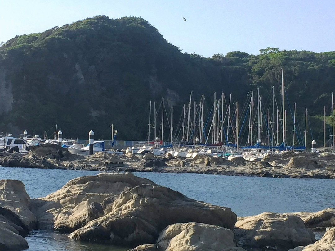 Miyagawa Fisharena-三浦市必去景点