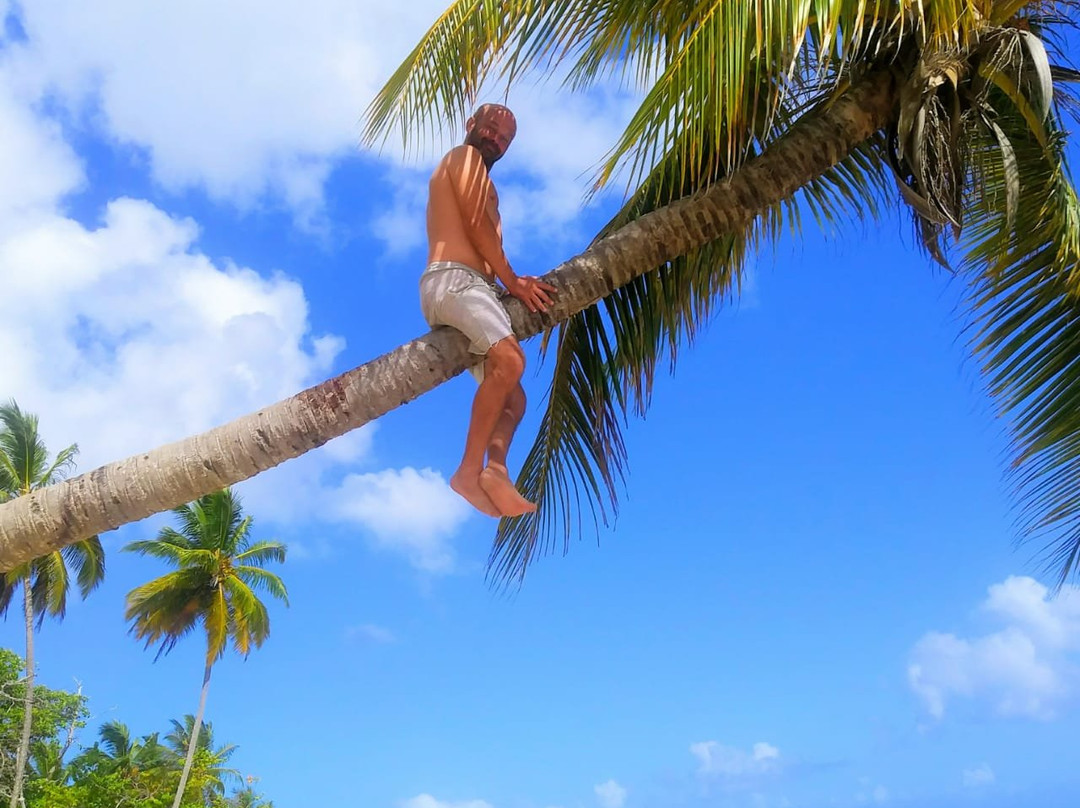 El Portillo Residences by Mint主图