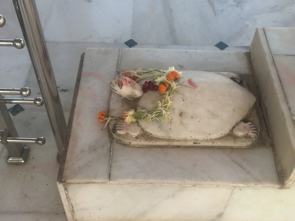 Shoolpaneshwar Mahadev Temple景点图片