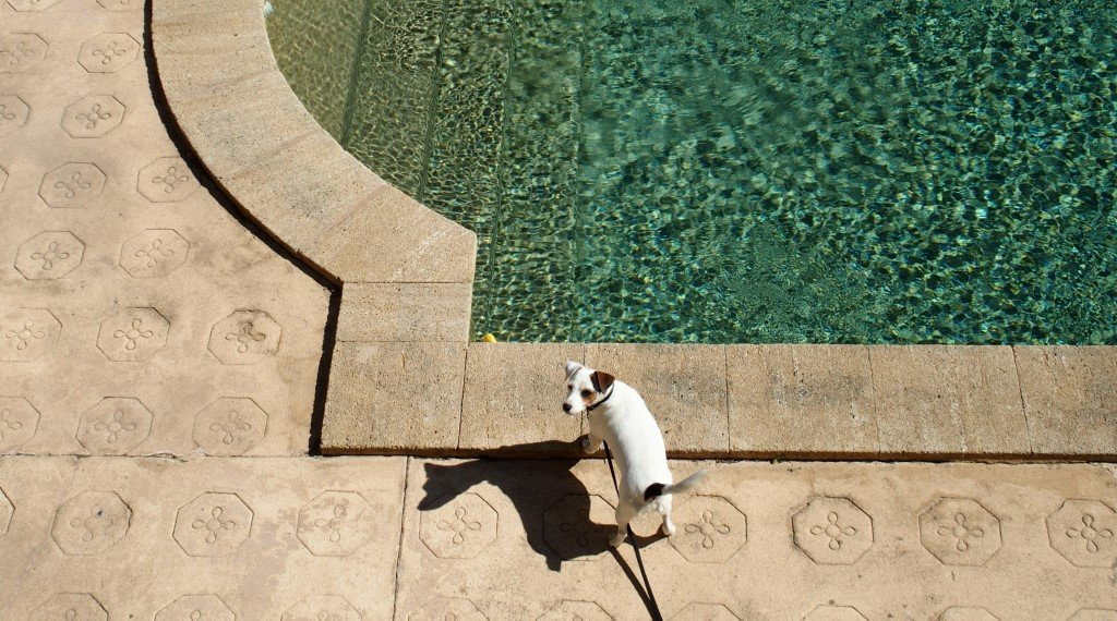 Le Mas de la Chapelle主图