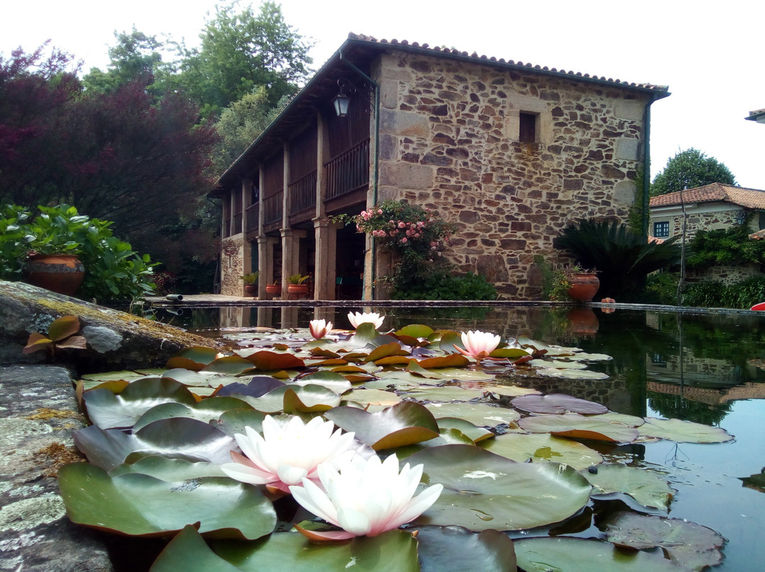 Casa do Sobreiro主图