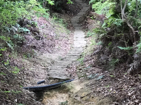 Umagatake-jo Ruins-行桥市必去景点