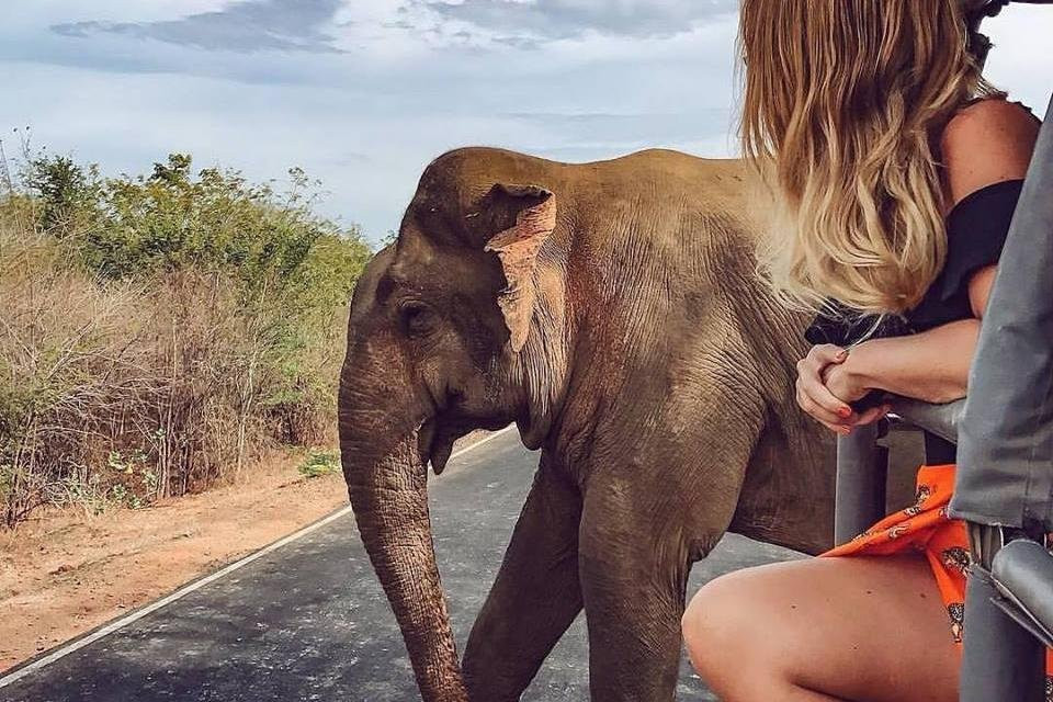 Miracle Sri Lanka-美蕊沙必去景点