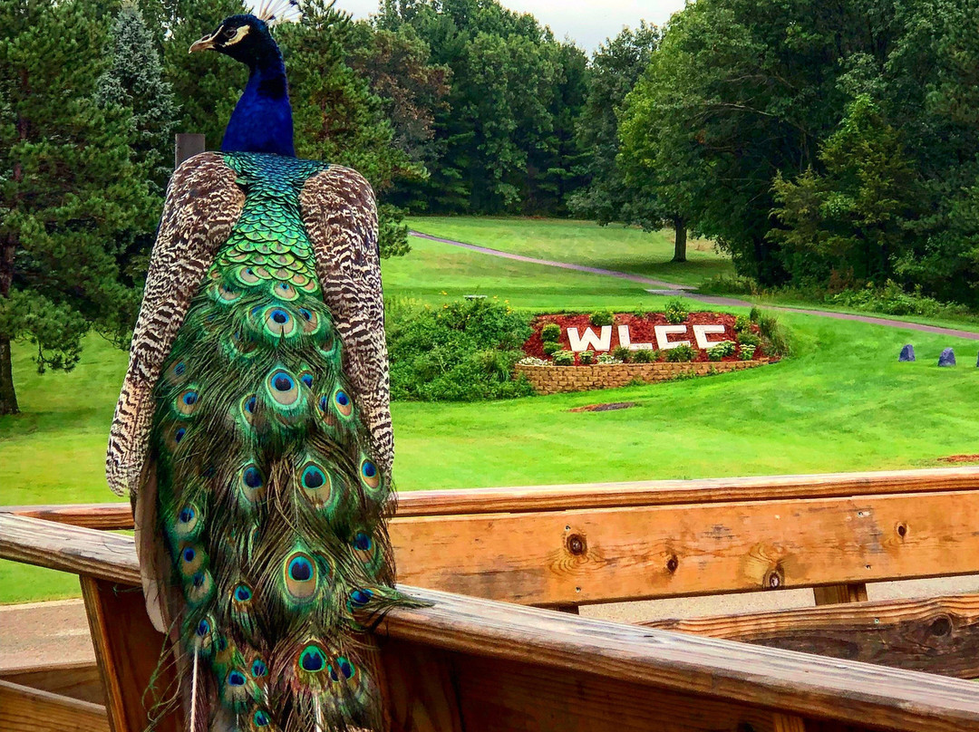 Sondalles WhiteLake Country Club & Golf-Montello必去景点