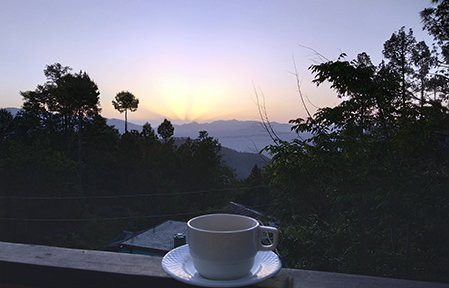 The Himalayan Woods主图