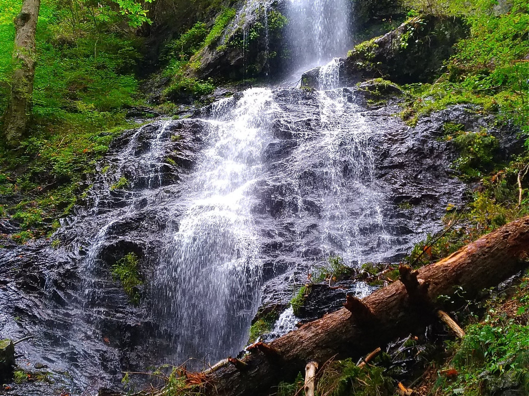 Gongen Waterfall景点图片