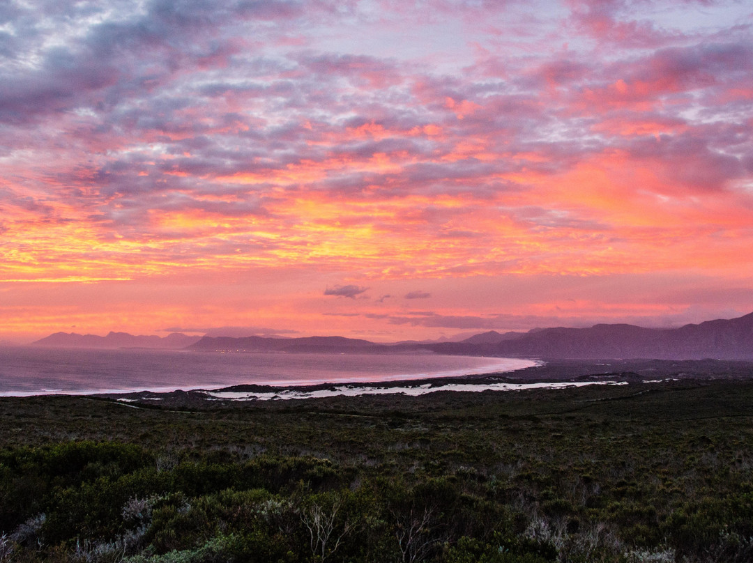 大森林私人自然保护区酒店主图