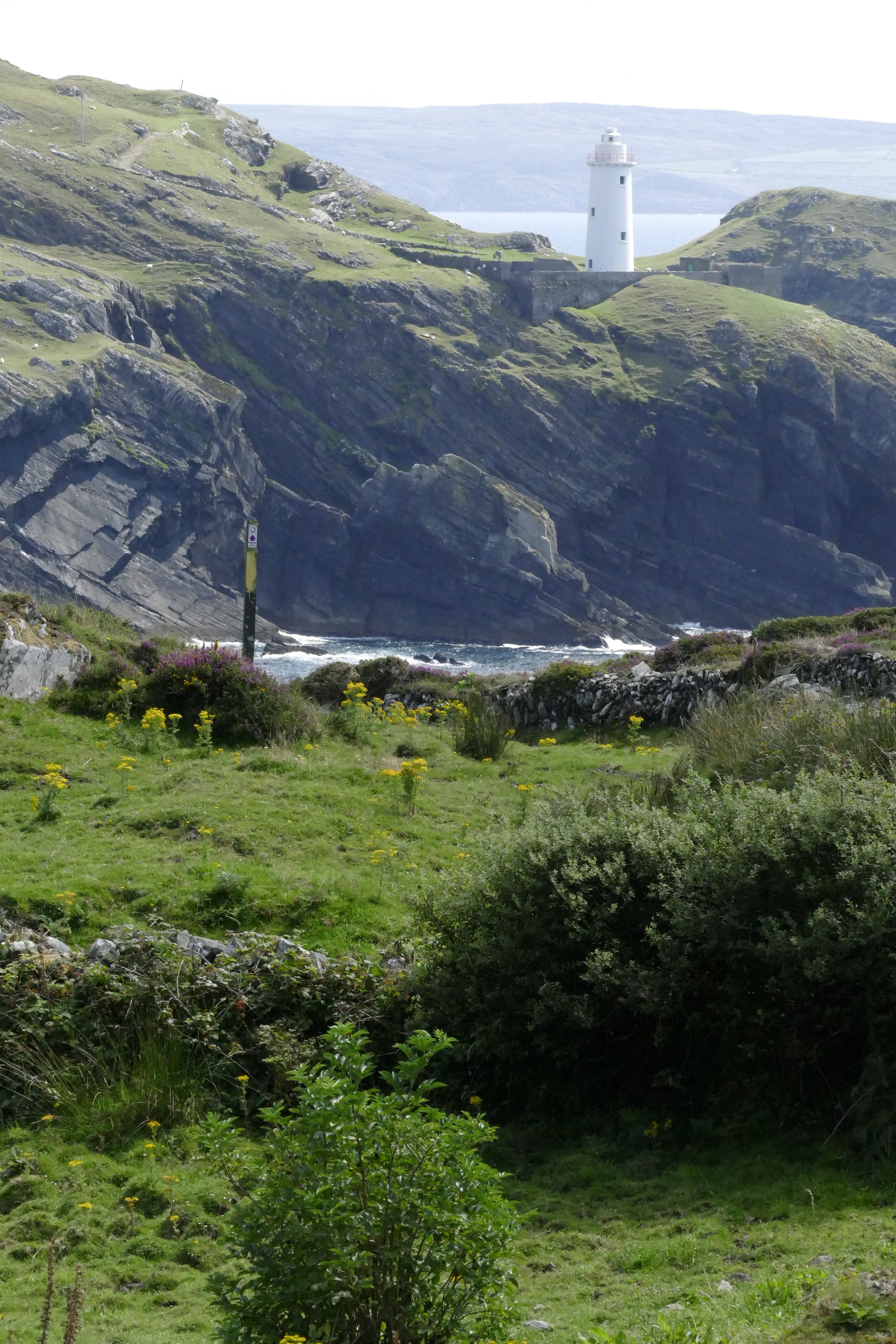 Bellatrix Bed and Breakfast for Women-官方