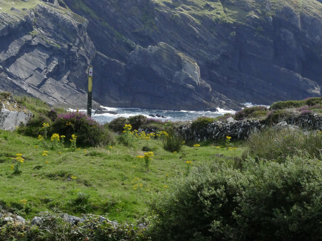 Bellatrix Bed and Breakfast for Women主图