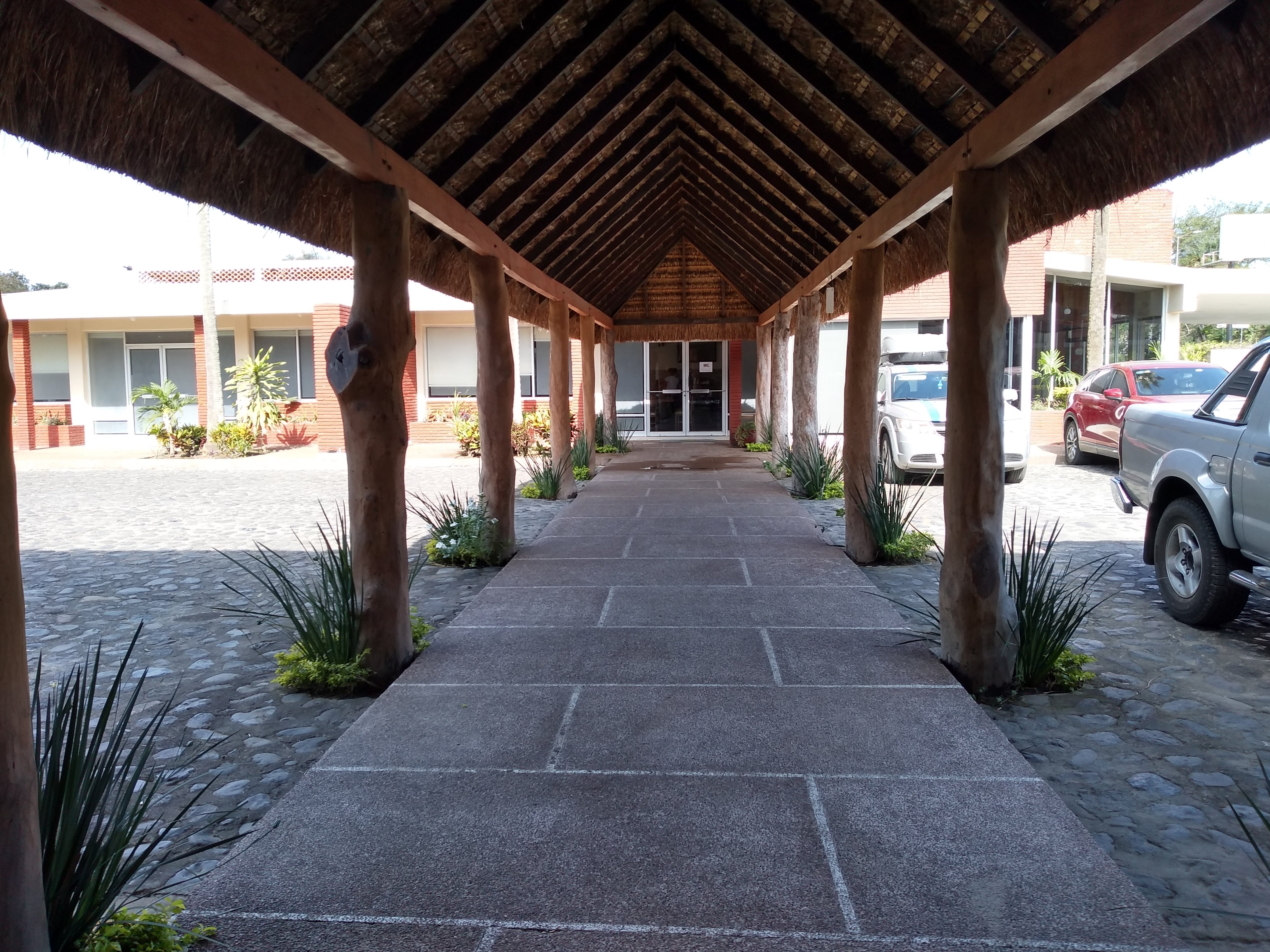 Hotel Plaza Palmas-餐饮