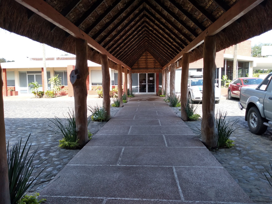 Hotel Plaza Palmas主图