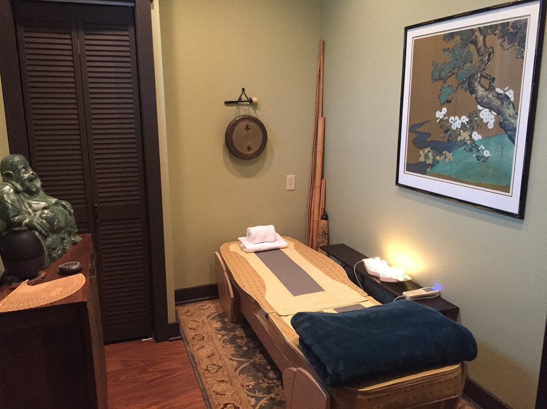 SaltTreeYoga-渥太华必去景点