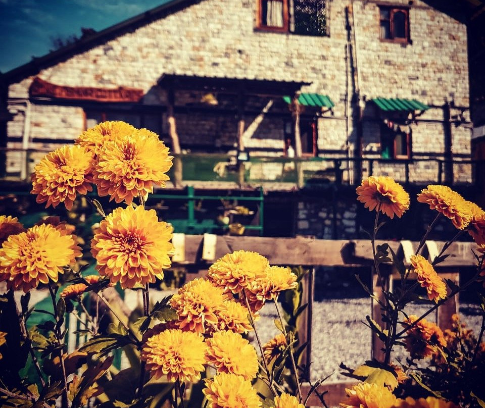 Gone Fishing Cottages